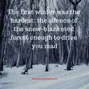 Eyes in the Snow