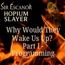 Why Would They Wake Us Up? Part I ~ Programming