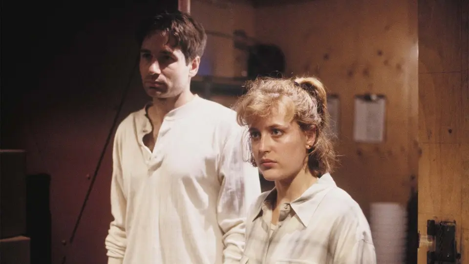 The X-Files, Season 1, 'Ice'