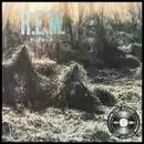 S9E488 - R.E.M. 'Murmur' with Tim Quirk