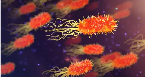 Know Your Sepsis