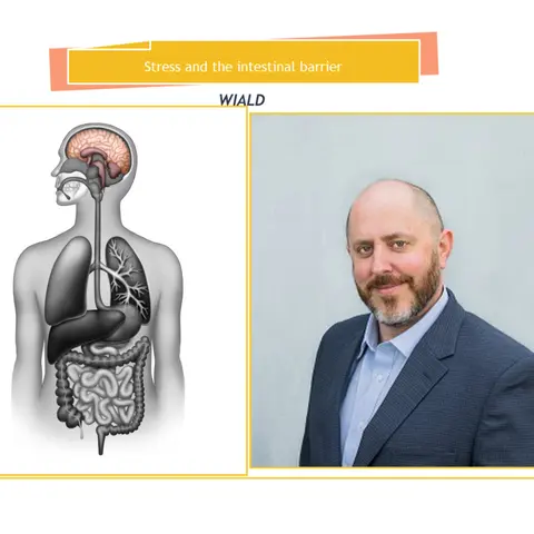 WIALD: Stress and the Intestinal Barrier