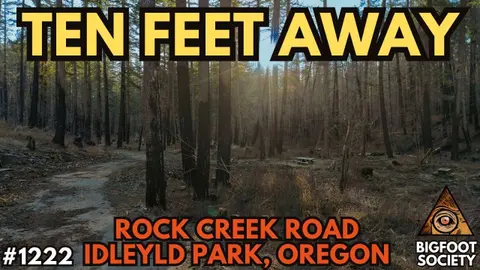 Oregon Hunter Fired a Warning Shot—Then Saw Its Face