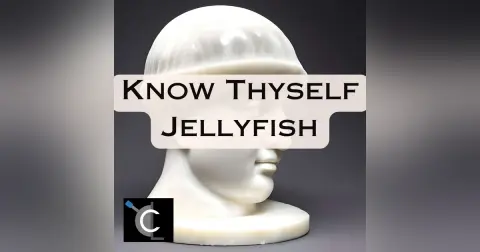Know Thyself Jellyfish: OWASP API Security Top 10 Countdown [53]