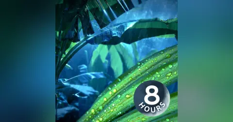 Jungle Rain 8 Hours | Sleep, Study or Relax | Nature White Noise