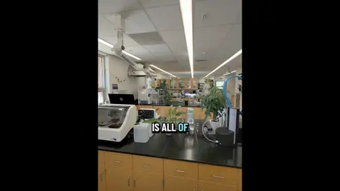 Look Inside The Laboratory At A Wastewater Treatment Plant
