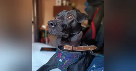 Cuídate, te quiero