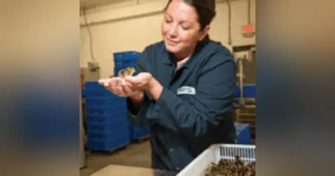 Backyard Hobby Farm to Nationwide – Brittney Miller