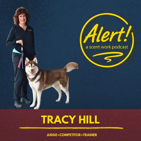 Tracy Hill | Setbacks, Sick Dogs, and Showing Up Anyway
