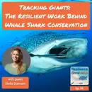 Tracking Giants: The Resilient Work Behind Whale Shark Conservation