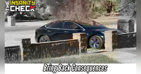 Bring Back Consequences - Insanity Check