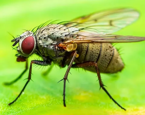 What Bugs God – Part II