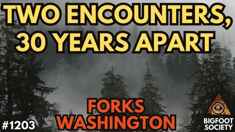 A 12-Year-Old Heard Something Scream Near Forks—Then Everyone Started Leaving