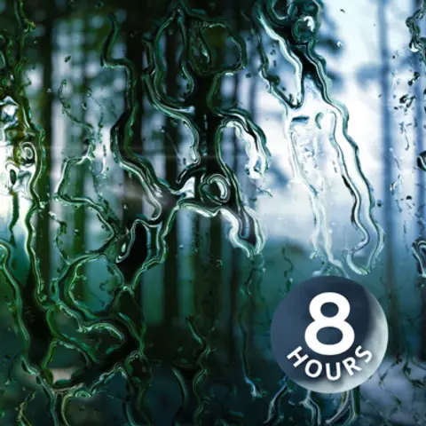 Rain Sounds for Relaxation, Focus or Sleep 8 Hours | Nature White Noise