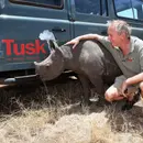 Charlie Mayhew: Conservation Wildlife and Travel