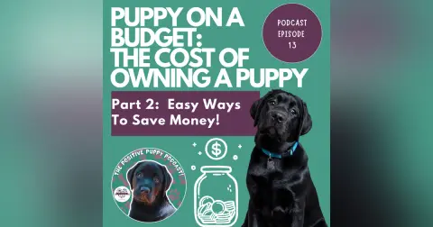 Episode 13: (Part 2) Puppy on a Budget - The Cost of Owning a Puppy