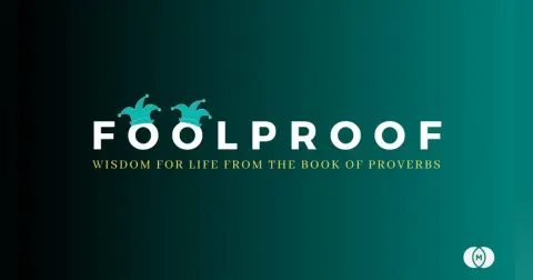 Series: Foolproof Title: With A Little Help From My Friends