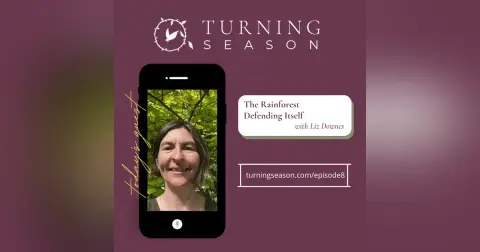 The Rainforest Defending Itself (with Liz Downes)