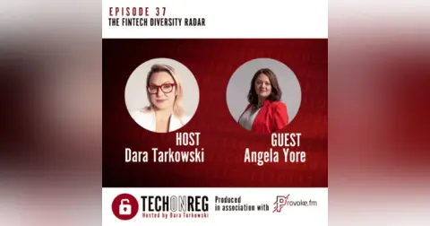 The Fintech Diversity Radar