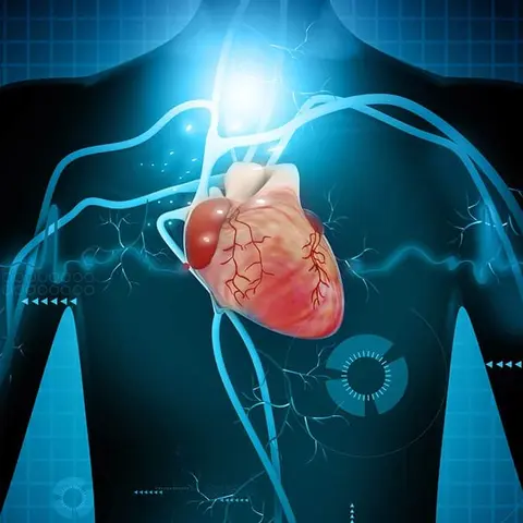 Ceryx Medical: company uses bioelectronics to coordinate the heart and lungs