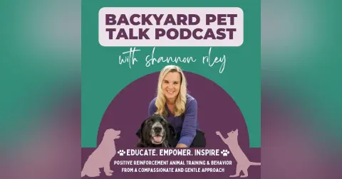 Teach Your Dog How to Paddleboard Safely with G Scott Graham