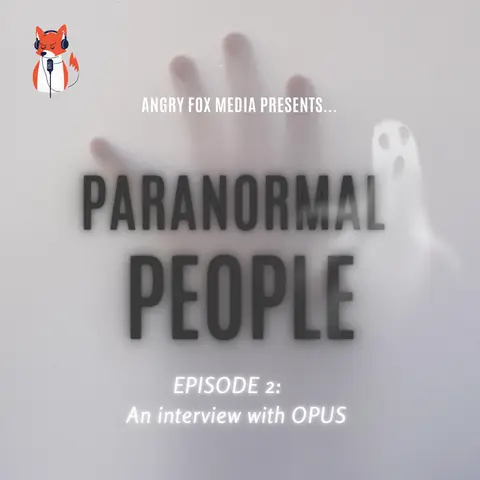 Episode 2 - An interview with OPUS