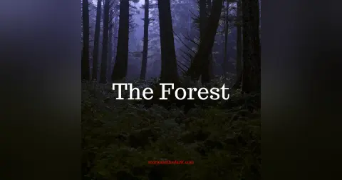 The Forest