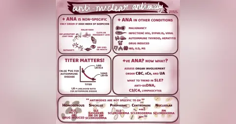#112 ANA (Antinuclear Antibody) Test: 5 Pearls Segment