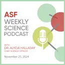 Synaptic Density and Autism, explained