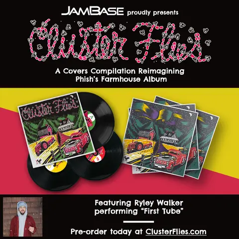 Cluster Flies: Ryley Walker - First Tube