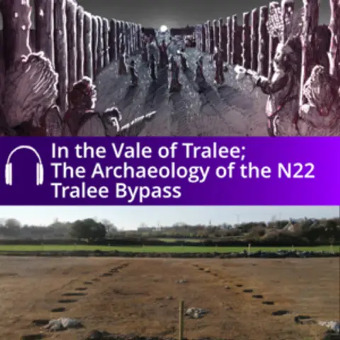 In the Vale of Tralee Audiobook
