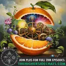 Daniel Roytas | The Vitamin Deficiency Deception, Food Synergy, & Can You Catch A Cold?