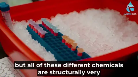 Persistence Is Common Characteristic Of PFAS Chemistry