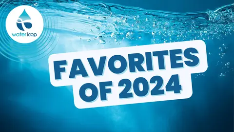 Favorites of 2024
