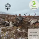 Wild Encounter: Peter Gutsche's Close Call with a Grizzly