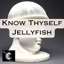 Know Thyself Jellyfish: OWASP API Security Top 10 Countdown [53]