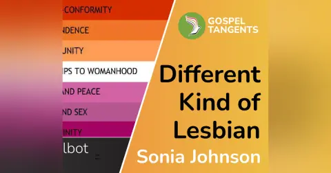Sonia Johnson Is Different Kind of Lesbian (Chris Talbot 4 of 4)