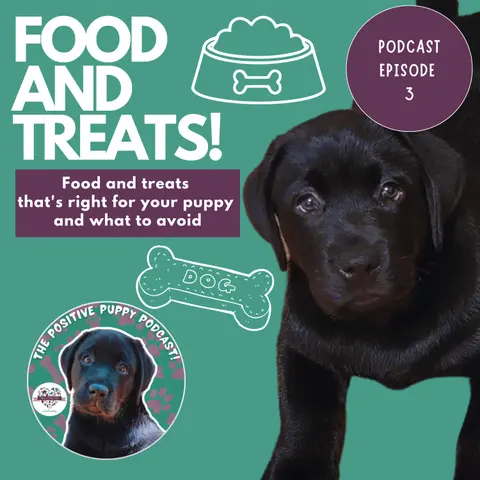 Episode 3: Food & Treats