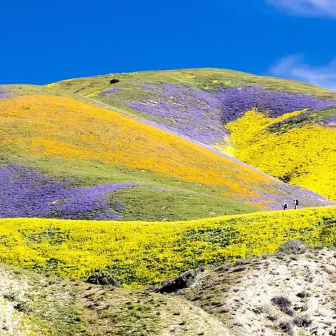 S4E11: Beauty Meets Struggle: The Endangered Treasures of BLM Lands
