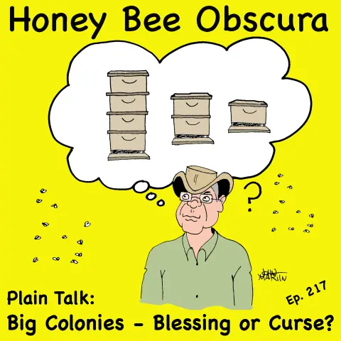 Plain Talk: Big Hives - Blessing or Curse? (217)