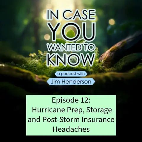 Hurricanes: Storm Preparation, Storing Your Valuables and Insurance Headaches