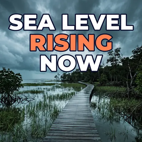 Millimeters That Matter: The Sea Level Rise Threshold Coastal Wetlands Can't Survive