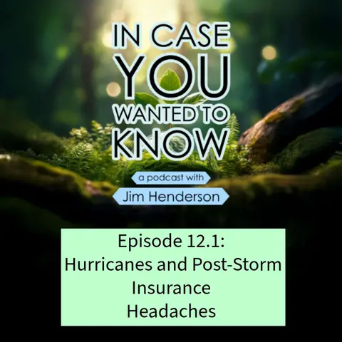 Hurricanes and Post-Storm Insurance Woes