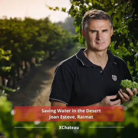 Saving Water in the Desert w/ Joan Esteve, Raimat
