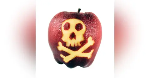 What Was the Forbidden Fruit, and What Did It Do?