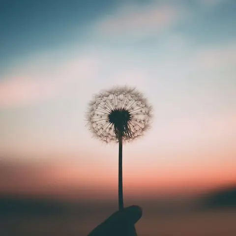 3 Mindfulness Examples To Declutter Your Stressed Mind