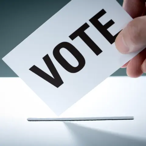 How Do Elections Work?