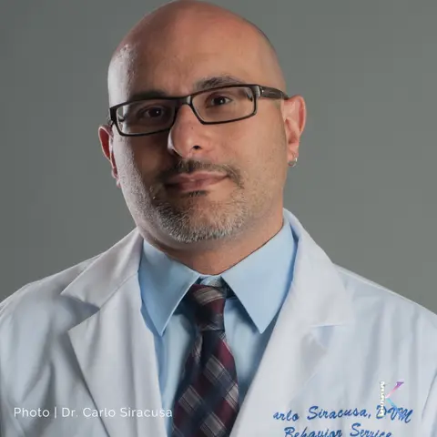 The Life of a Dog | With Dr. Carlo Siracusa, Professor of Small Animal Behavior and Welfare