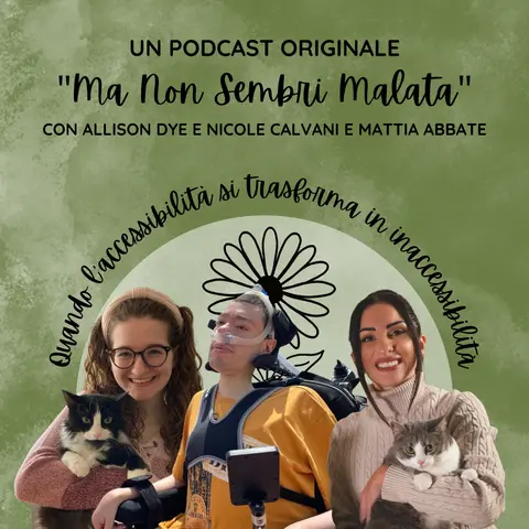 Quando l’accessibilità si trasforma in inaccessibilità