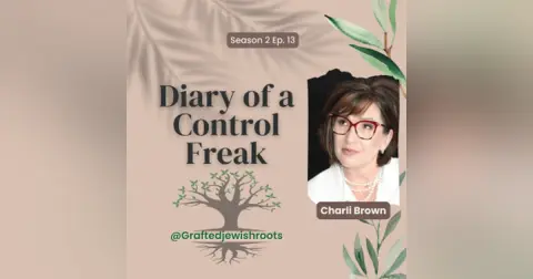 Diary of a Control Freak